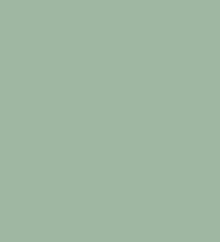 sage-green-color-salvia